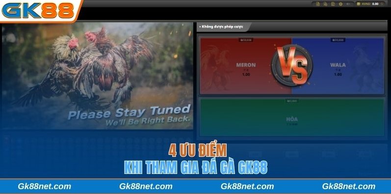 4 ưu điểm khi tham gia đá gà GK88
