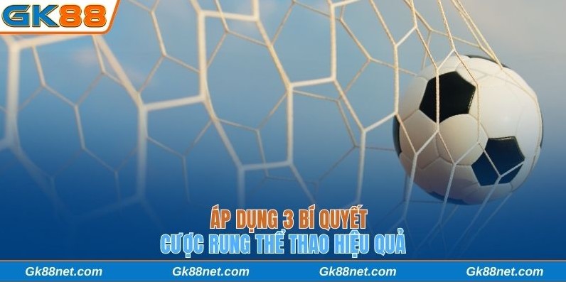 Áp dụng 3 bí quyết cược rung thể thao hiệu quả