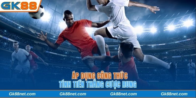 Áp dụng công thức tính tiền thắng cược rung