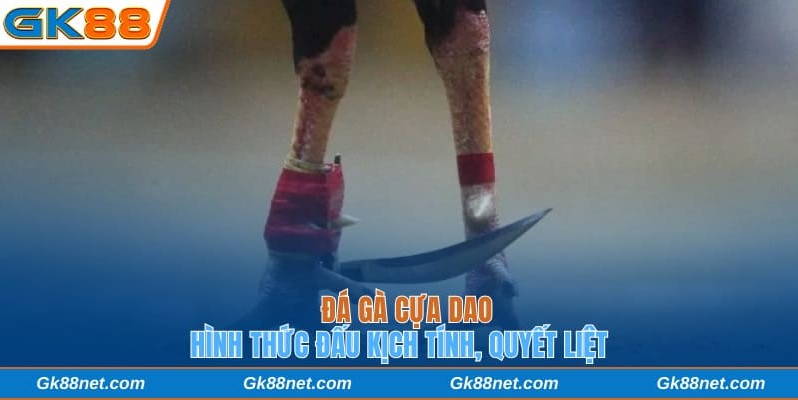 đá gà cựa dao
