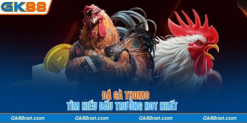 Đá gà Thomo