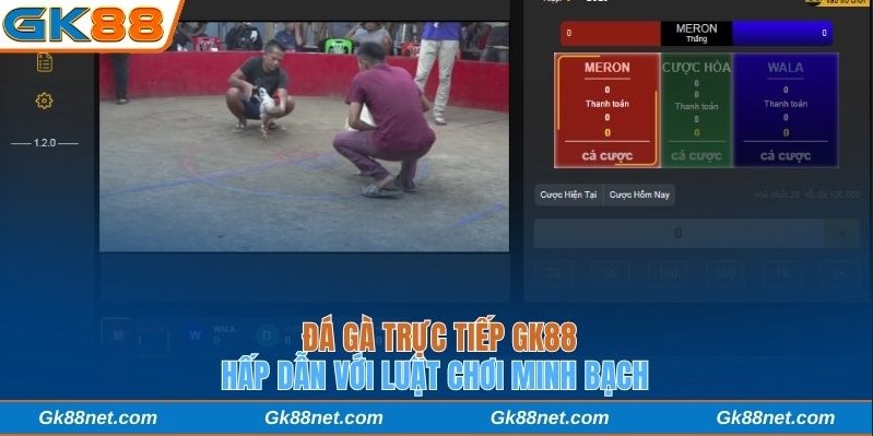 Đá gà trực tiếp