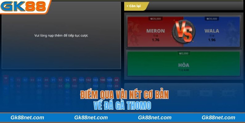 Điểm qua vài nét cơ bản về đá gà Thomo