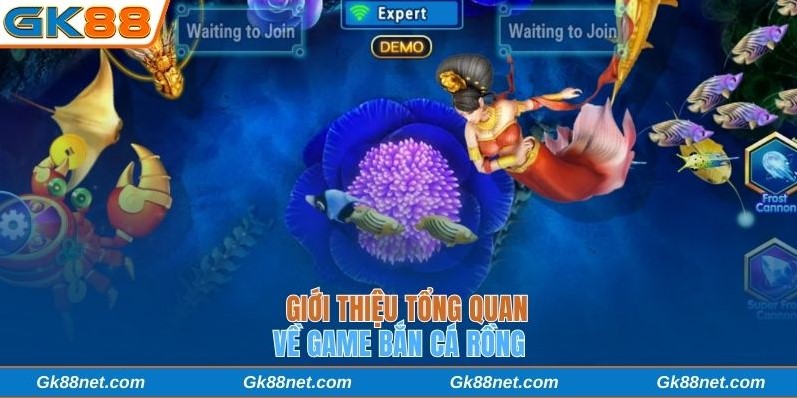 Giới thiệu tổng quan nhất về game bắn cá Rồng