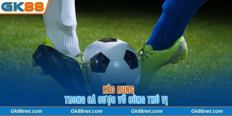 Kèo rung trong cá cược thể thao vô cùng thú vị