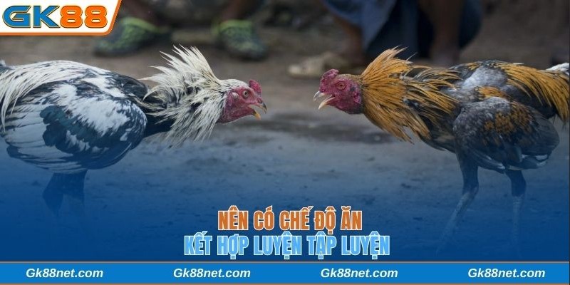 Nên có chế độ ăn kết hợp luyện tập luyện