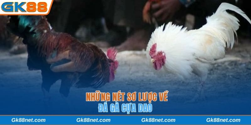 Những nét sơ lược về đá gà cựa dao