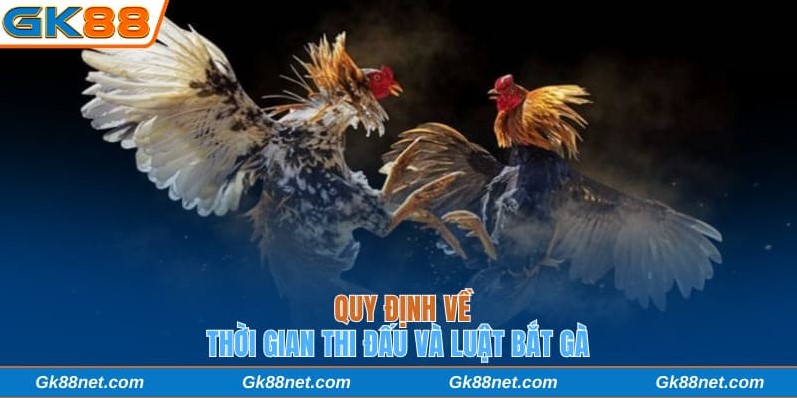 Quy định về thời gian thi đấu và luật bắt gà