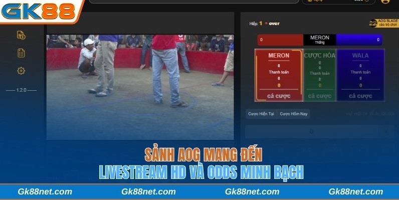 Sảnh AOG mang đến livestream HD và odds minh bạch